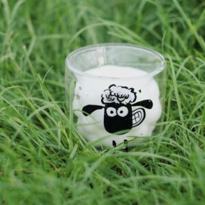 雙層玻璃杯(TEST)