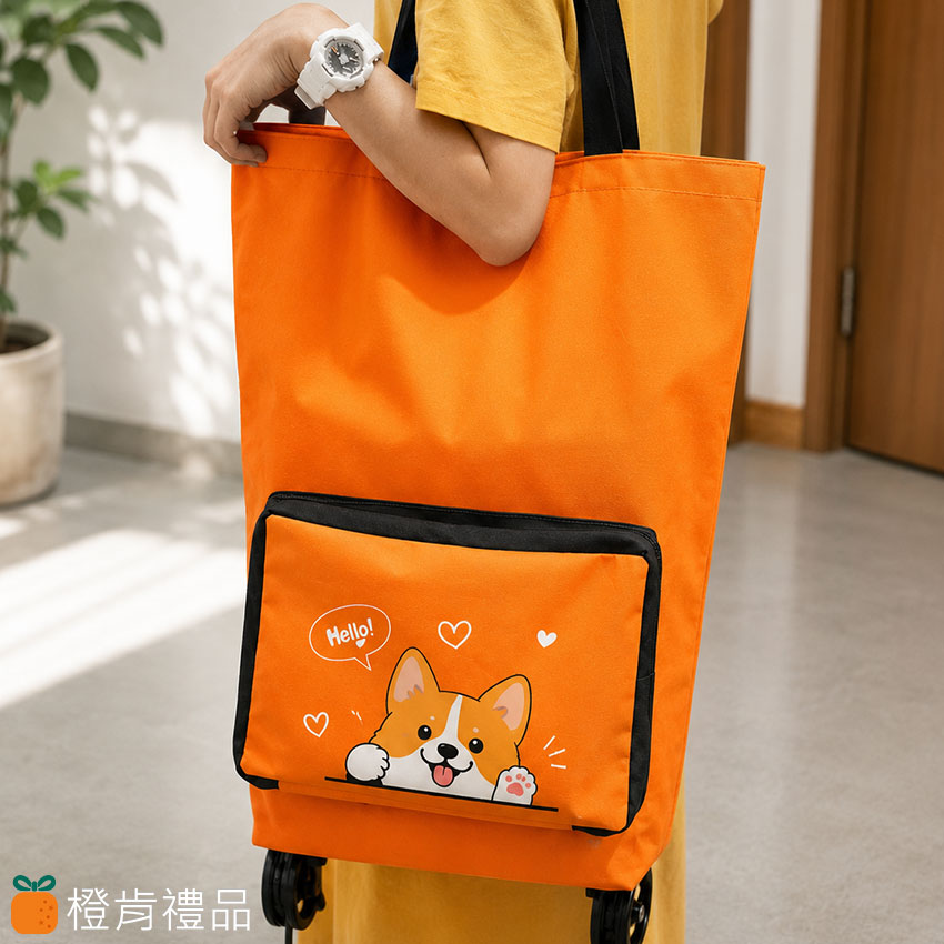 Rolling Shopping Tote (2) 手提拉輪購物袋