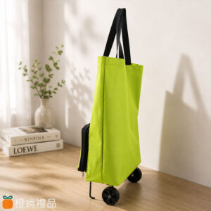 Rolling Shopping Tote (3) 手提拉輪購物袋