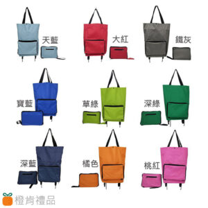 Rolling Shopping Tote (7) 手提拉輪購物袋