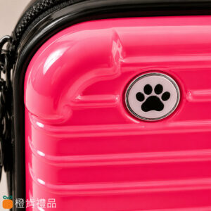 mini-suitcase-bag-(7) 迷你行李箱硬殼包